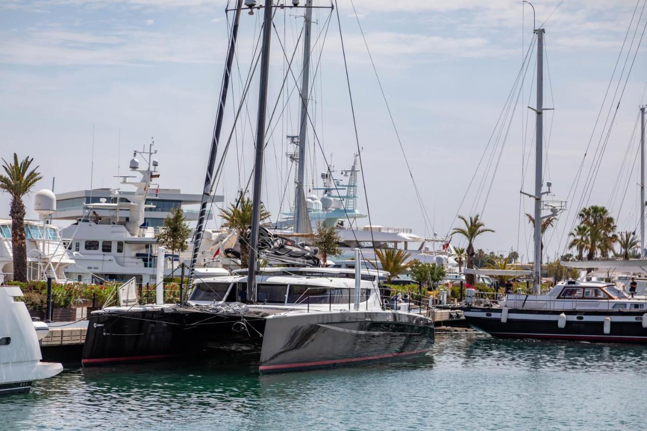 Travel Habitat La Marina Real Daire Valensiya Dış mekan fotoğraf